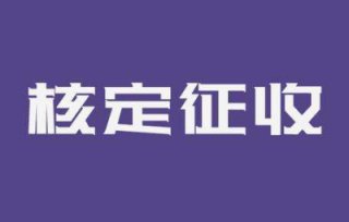 成都申請企業所得稅核定征收需要什么條件?